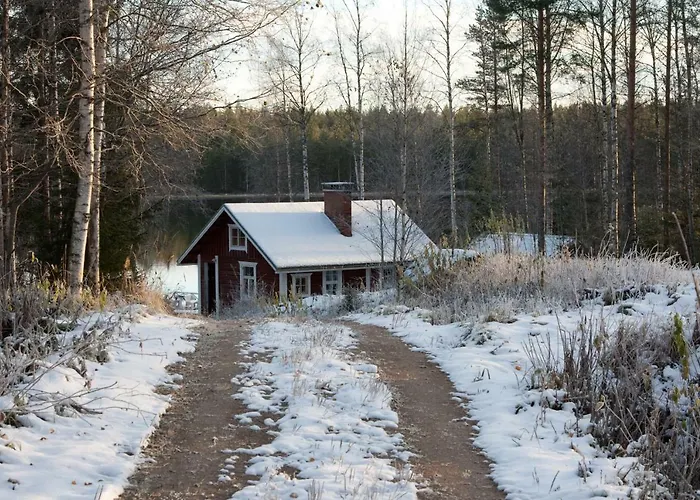 Liinaranta * Kalmari